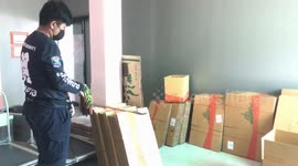Green snake sparks panic after being caught hiding inside parcel