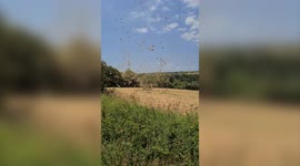 This footage shows a 'dust devil' caught on video in a British field