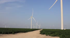 A wind farm operates among a cotton field in rural Texas near the community of Corpus Christi, Texas, USA