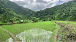 Take a look at the innovative way this Indian farmer transports himself across a river
