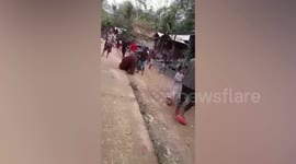 Residents save orangutan lost in a village while searching for food