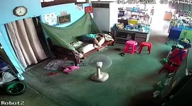 Loose wheel smashes through food store while owner sleeps