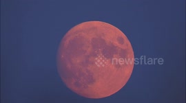 Stunning Buck Moon spotted rising above Kent, UK