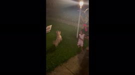Fourth of July bubble fest .