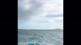 Nacra 16 pitchpole in stiff breeze flying around wire
