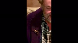 'It's a big fella!' New Zealander has great reaction after finding insect on his shoulder