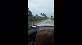 Wild peacocks lounging on car in florida neighborhood are unfazed by funny confrontation with owner.