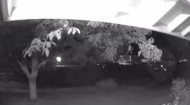 Dark shadow moves across screen and is caught on security camera.