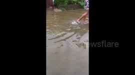 Dead floating cockroaches and flooded houses as typhoon devastates Philippines