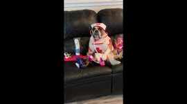 When you realize that you don’t have pet insurance.