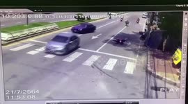 Escaped raging buffalo rams terrified drivers waiting at traffic lights