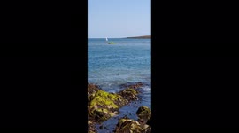 Grey Seal catch on camera on Sunday walking on the beach- Skerries Ireland