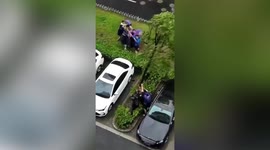Chinese residents pull down tree to prevent it from falling on parked vehicles