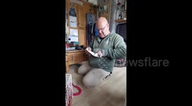 ‘Welcome to the family!’: UK dad discovers foster kitten is actually a keeper
