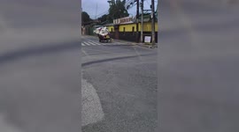 Loyal pet dogs pull overloaded garbage cart to help owner