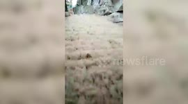 Incessant rain submerges temple in central India