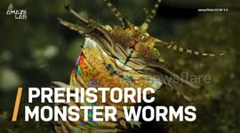 Monster prehistoric worms are the stuff of 20-million-year-old nightmares