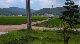 한국의 쌀을 재배하기 위해서 드론으로 관리하는 모습이다. 작지만 효과적으로 운행하는 드론 살포 모습이다. 잘 봐야한다.