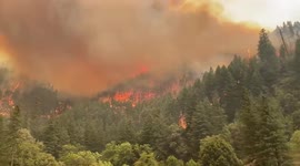 Dixie Fire in Northern California continues to grow, almost 200,000 acres burnt
