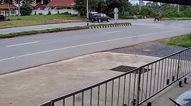 Heroic driver flips over truck to avoid crashing into escaped cow on road
