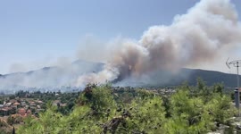 Firefighters battle to control wildfire burning through area near Athens