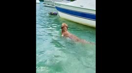The Golden Retriever feels himself half fish and half dog