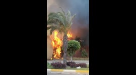 Massive forest fire engulfs southern Turkey