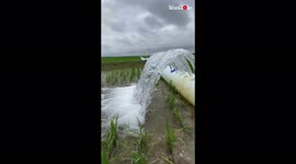 Work smarter not harder: farmer shows clever and satisfying way of watering rice fields