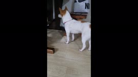 지금까지 기다렸으면 이제는 줘야 할 거 아니야? 왜 안주는거야? 빨리 내놓으란 말이야!!!