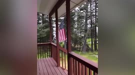 Alaska earthquake triggers tsunami warning and sirens