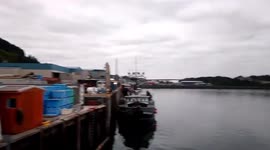 Alaska earthquake triggers tsunami warning as terrified tourists flee to higher groud