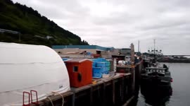 US: Tsunami Warnings Issued After M8.2 Earthquake Strikes Off Alaska Coast