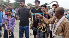 The People's keep swinging with snakes around their necks and in their hands on the day of Nagpanchami