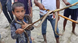 A small child keep swinging with snakes around their necks and in their hands on the day of Nagpanchami