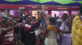 Venomous snake wrangling festival in India is bizarre and delightful