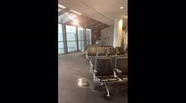 Rain leaks inside Maryland’s BWI Marshall Airport during tornado-warned storm