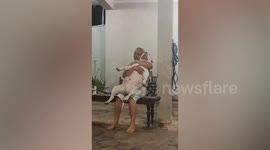 Old man rocks sleepy pet dog to sleep on his lap