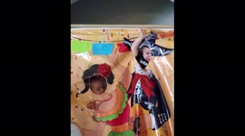 Adorable and cute child hilariously messes up photo shoot
