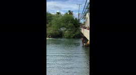 Local kids jumping off of the Haleiwa bridge, North Shore, Oahu, Hawaii