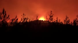 Flames illuminate sky as wildfire burns through countryside in Bodrum, Turkey