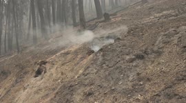 Underground Fires Continue to Burn in California Creating Dangerous Forest Fire Hot Spots - Dixie Fire - California - 2021