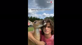 'EnDEERing Compilation of Pennsylvania Man Living his Best Life with his Pet Deer'