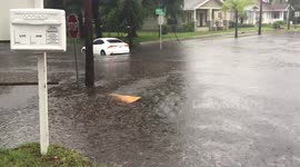 Flooding in Tampa, FL (longer clip)