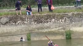 Canoeists help rescue dog from River Thames in London