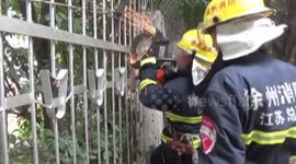 Boy's head freed from railings