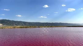 Lake turns pink in China