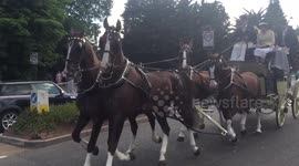 Horse and carriage