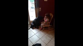 Pit bull 'sings' along with girl's harmonica