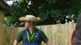 YORK MAZE - A family day out