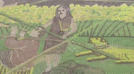 Amazing rice paddy artwork in China